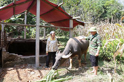 Trên 321 tỷ đồng thực hiện Chương trình mục tiêu quốc gia vùng đồng bào dân tộc thiểu số và miền núi