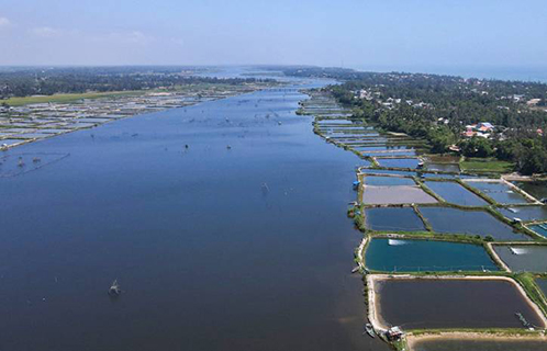 Quảng Nam tổ chức cuộc thi thiết kế cầu 400 tỷ đồng nối đôi bờ sông Trường Giang