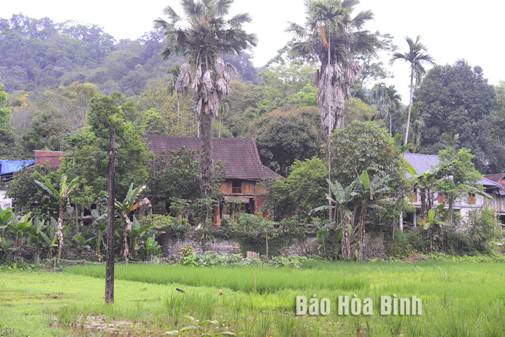 Hòa Bình: Xây dựng Khu bảo tồn không gian văn hóa dân tộc Mường, xóm Lũy Ải