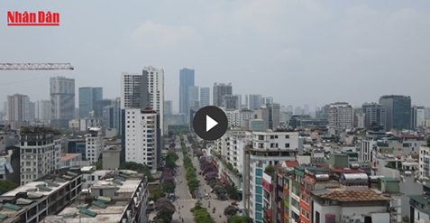 Hà Nội ban hành quy trình, định mức kinh tế, kỹ thuật công tác quản lý vận hành quỹ nhà đất công