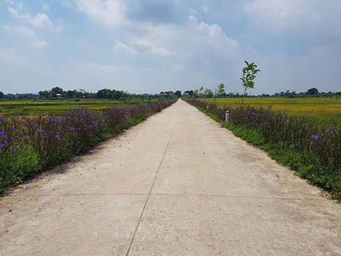 Hà Nội dẫn đầu cả nước về xây dựng nông thôn mới