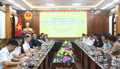 Lãnh đạo UBND tỉnh làm việc với doanh nghiệp Hàn Quốc