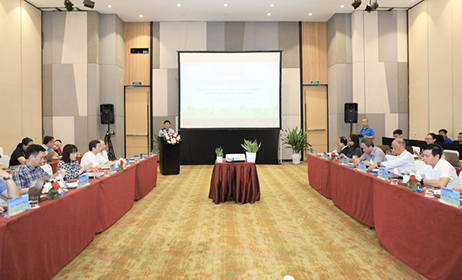 Giao thông tích hợp và liền mạch: Giải pháp cho đô thị xanh