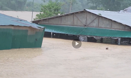 Miễn, giảm thuế cho doanh nghiệp bị thiệt hại do bão lũ